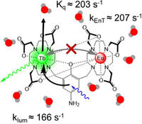 chemeurj 2025 online
